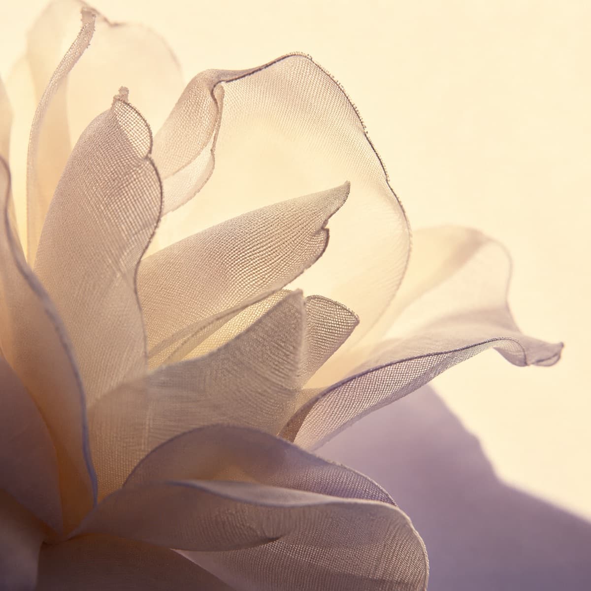 Macro view of a cut and shaped fabric flower