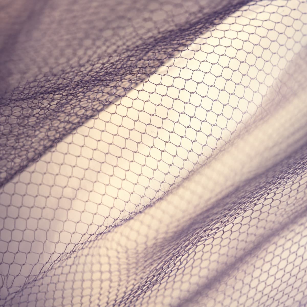 Macro photograph of two layers of birdcage netting producing a soft moiré